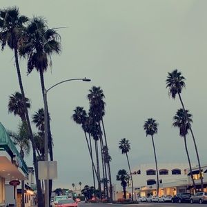 Meet your Posher, Tamara